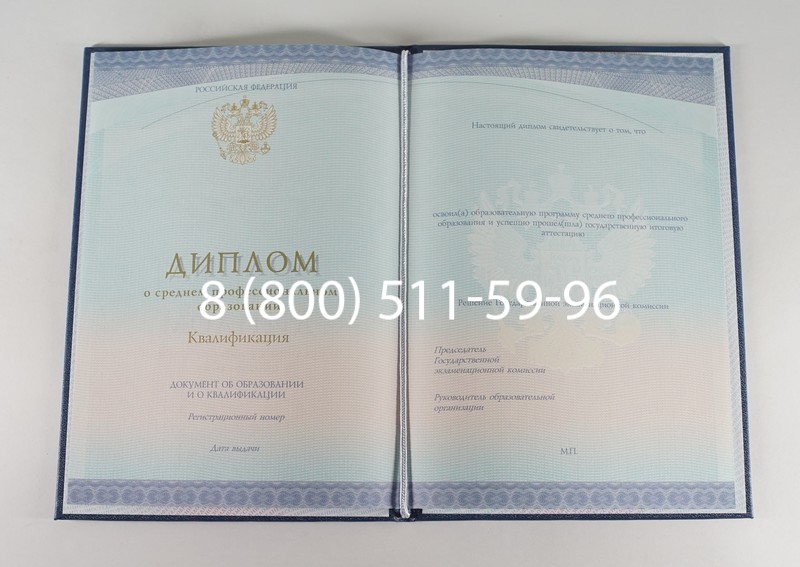 Диплом колледжа (Спецбланк) 2014-2024 года в Астрахани